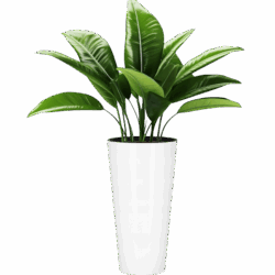 Premium Plastic Planter